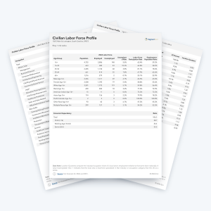 Civilian Labor Force Profile sample report pages with employment and unemployment by age group for each ring.