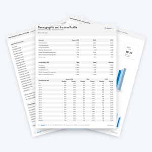 Demographic & Income Profile sample report pages with population, income and age tables plus trend charts.