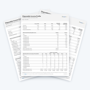 Disposable Income Profile sample report pages with households by disposable income and age of householder.