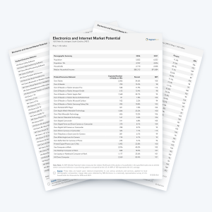 Electronics and Internet Market Potential sample report pages with consumer behavior and Market Potential Index data.