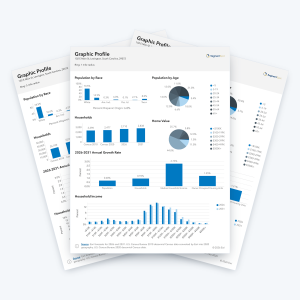 Graphic Profile sample report pages with charts of population by race and age, households, home value and income.